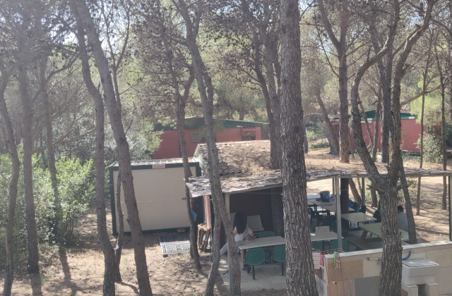 La Struttura dalla Base